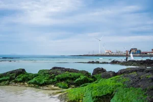 Beyond the Crowds: Discovering Jeju Island’s Hidden Gems