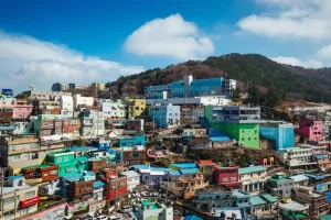 Busan Bus System: Routes, Fares, &amp; How to Ride Like a Local