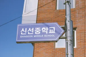 From Gimhae Airport to Busan City: Best Transport Options Explained