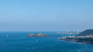 Getting Around Jeju Island: Your Complete Guide to Public Transport &amp; Car Rental