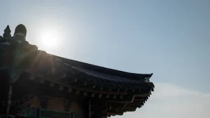 Jeju Island with Kids: Family-Friendly Attractions &amp; Activities