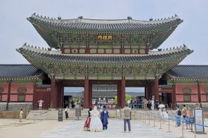 Mastering Korean Table Manners: A Traveler’s Dining Guide