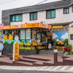Top 15 Must-Do Things in Jeju Island for an Unforgettable Trip