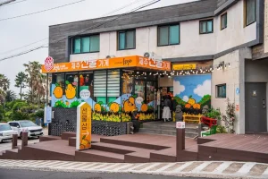 Top 15 Must-Do Things in Jeju Island for an Unforgettable Trip