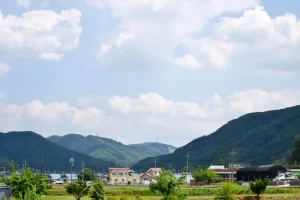 Traveling Jeju Island on a Budget: Tips to Save Money Without Missing Out