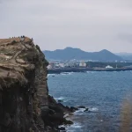 When is the Best Time to Visit Jeju Island? A Seasonal Breakdown