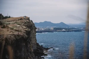 When is the Best Time to Visit Jeju Island? A Seasonal Breakdown