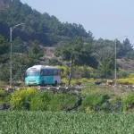 Where to Stay in Jeju: Best Areas &amp; Hotels for Every Traveler