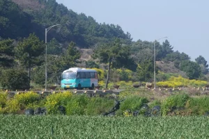 Where to Stay in Jeju: Best Areas &amp; Hotels for Every Traveler