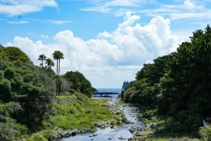 Jeju’s East Coast Gems: Top Day Trip Destinations