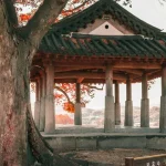 Jinhae Cherry Blossom Festival: A Magical Day Trip Guide from Busan