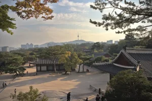 Networking in Korea: Connecting with Other Digital Nomads and Locals