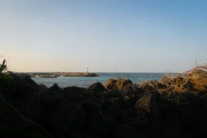 Planning Your Jeju Trip: Essential Tips &amp; Tricks for a Smooth Vacation