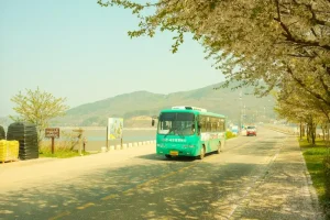 Q-Code for South Korea: Your Health Declaration Explained
