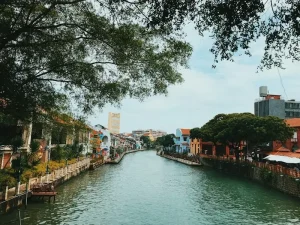Ulsan Travel Guide: Industrial City’s Hidden Natural Wonders