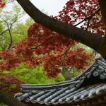 Your Ultimate Seoul Shopping Guide: From Myeongdong to Hongdae