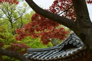 Your Ultimate Seoul Shopping Guide: From Myeongdong to Hongdae