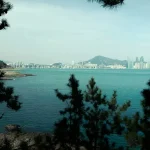 Best Markets in Busan: Jagalchi, Gukje, and Bupyeong Kkangtong