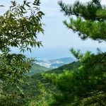 Busan Temples: A Guide to Beomeosa, Haedong Yonggungsa &amp; More