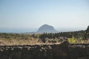 East vs. West Jeju: Which Side of the Island is Right for Your Trip?