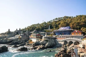 Solo Travel in Busan: Safety Tips &amp; Best Activities for Independents
