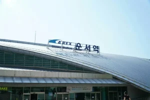 Streamlining Your South Korea Arrival: Q-Code and e-Arrival Card Tips
