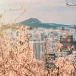 Working in Korea Without a Visa? What Digital Nomads Need to Know