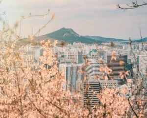 Working in Korea Without a Visa? What Digital Nomads Need to Know